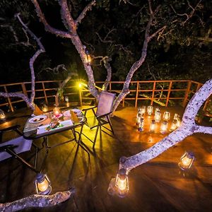 Tribe Yala - Luxury Camping